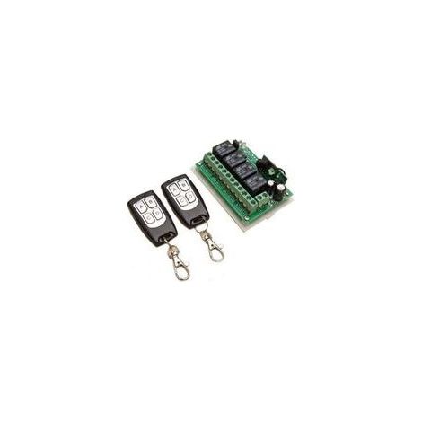 Contrôle à Distance sans Fil 433MHz 4 Canaux pour Porte de Garage/Portail - 2 Émetteurs + 1 Récepteur - Fonctionne avec Alimentation DC 12V- (1/5)