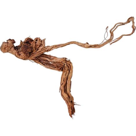 XL Drachen Wurzel Nr.8101 Holz Deko Aquascaping