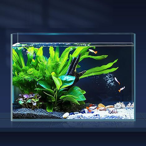 Aquarium, Glass, 10 Liters, Net, Siphon, Betta, Goldfish, Indoor Decoration (1/5)
