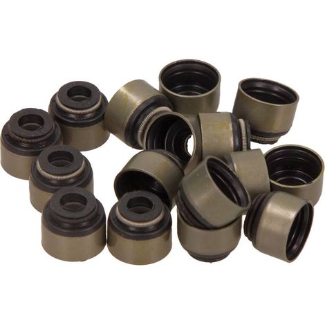 KIT DE JOINTS DE QUEUE DE SOUPAPE VICTOR REINZ HONDA 1.6B