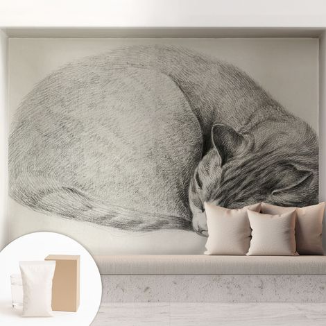 Papier peint intissé décoratif avec motifs pour salon et chambre a motif - Colle incluse gratuite Chat recroquevillé 208x146 cm (1/5)