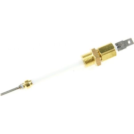 Philips - sonde de temperature - 423902186972