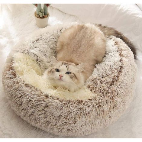 Coussin pour chat et chien 50cm – Moelleux et antidérapant – Tissu peluche doux – Lit apaisant confortable pour intérieur (1/5)
