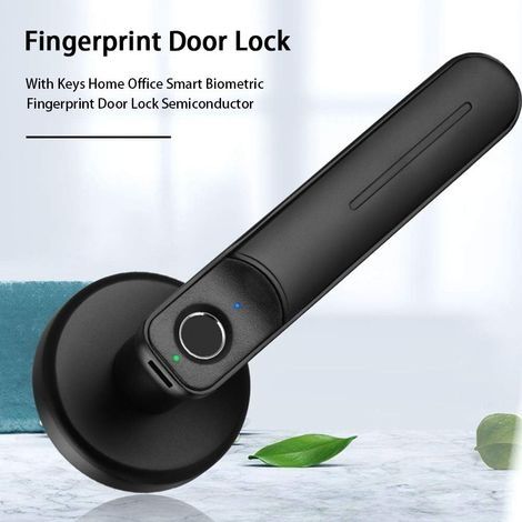 Intelligentes Fingerabdruck-Türschloss, elektronisches Fingerabdruckschloss, biometrisches Sicherheitsschloss für Zuhause (1/4)