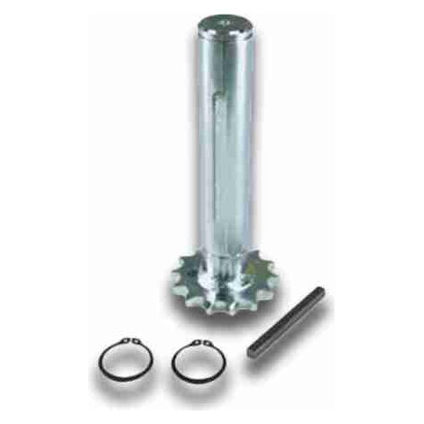 2600566 Pignone 12 Denti BFT PIG 12/ULISSE S N733338 2600566