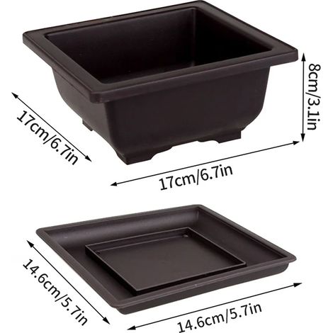 (S2 M et plateau) Plateau carré ou rectangulaire pour bonsaï, imitation terre cuite violette, idéal pour plantes succulentes
Pots pour plantes (1/4)