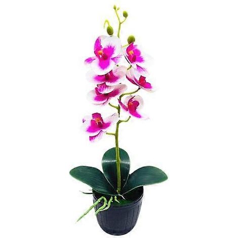 Orchidée artificielle en pot, présentoir en plastique aspect naturel, plante en pot décorative.violet blanc (1/5)