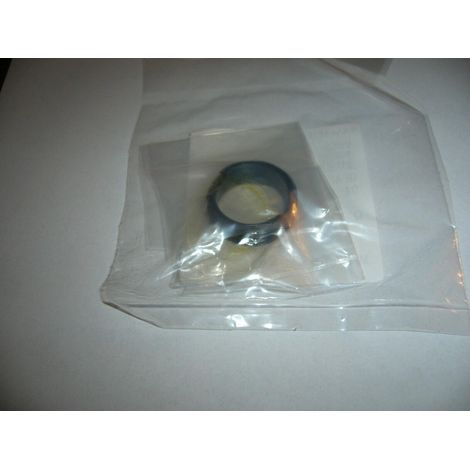 VITE SENZA FINE POMPA OLIO MOTOSEGA ECHO RICAMBIO ORIGINALE CS550 CS590 CS600