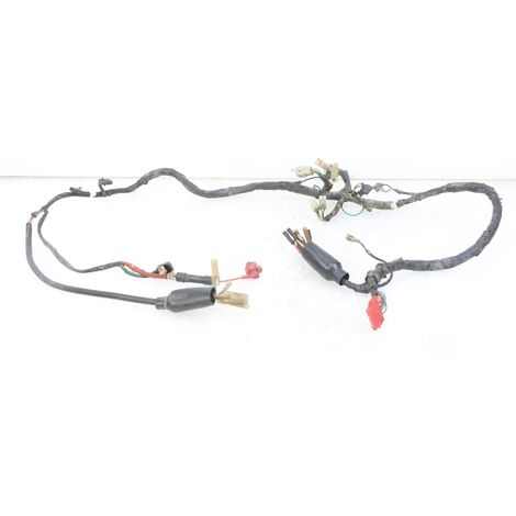 [PRODUIT D'OCCASION] FAISCEAU HONDA MTX TC02 125 1987 - 1989 (1/5)