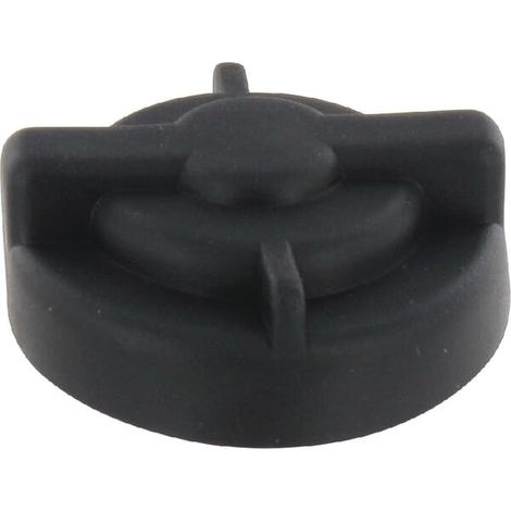 Clapet BRIGGS ET STRATTON 1718052SM