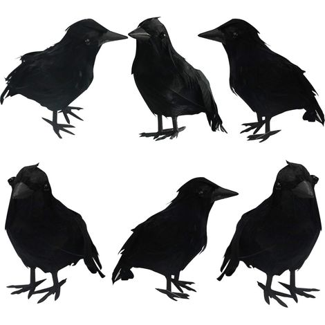 Lot de 6 Corbeaux, Plumes naturelles, Corps en plastique, Fil de fer intégré, Décoration Halloween (1/5)