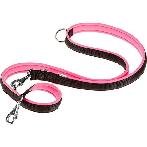 Laisse pour Chien, Laisse de Dressage pour Petit Chien, Poignée Rembourrée, Mousqueton en métal. Longueur réglable. Taille 200 cm, Rose (1/5)