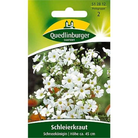 Schleierkraut Samen, Schneekönigin, weiß, für Steingarten (1/2)