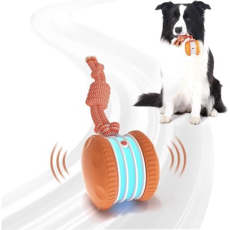 Giocattolo interattivo elettrico per cani con rotelle, arancione (1/5)