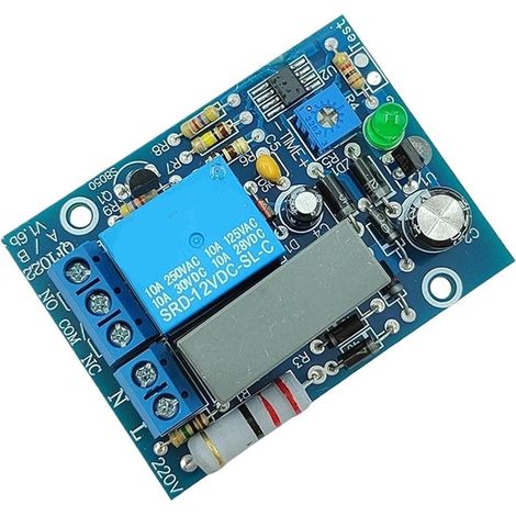 Module de relais temporisé réglable 110 V CA 220 240 10 s 100 min (1/5)