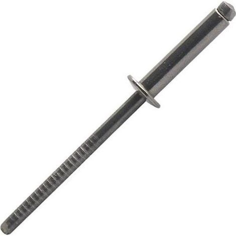 Scell-it BTD4812 Edelstahlblindnieten 4,8x12 mm Box 250