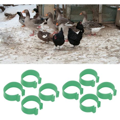 Offene Beinringe für Geflügel, 100 Stück, grünes PP, 20 mm, zur Kennzeichnung von Hühnern, Enten und Gänsen, nachhaltige Landwirtschaft (1/5)
