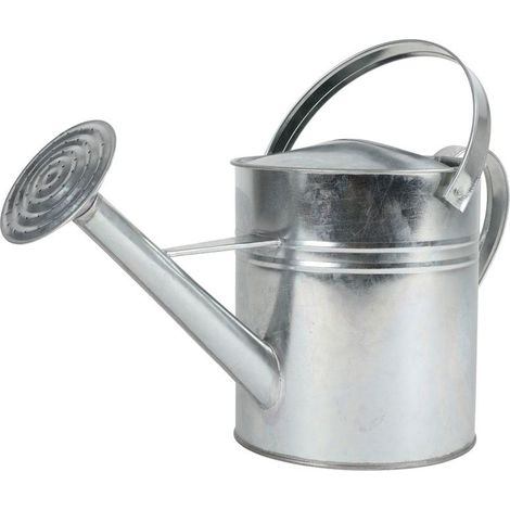 Zink Gießkanne mit Brausekopf silber - 5 Liter - Blumen Kanne für Innen und Außen