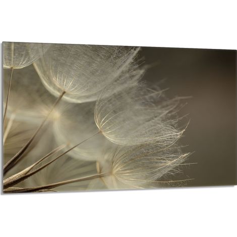 Glasherdschutzplatte 80x52 Blume (1/5)