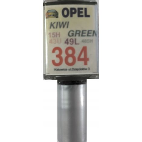 Pintura de retoque verde kiwi para Opel 384 15H 43U 49L (1/5)
