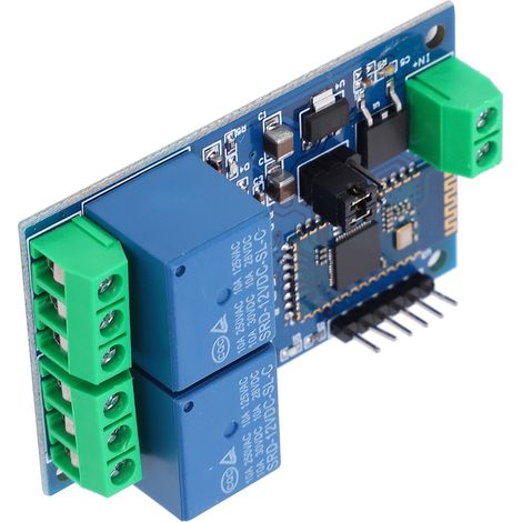Module Relais Bluetooth Double Canal 12V DC Plastique, Commande à Distance via Application Mobile (1/5)