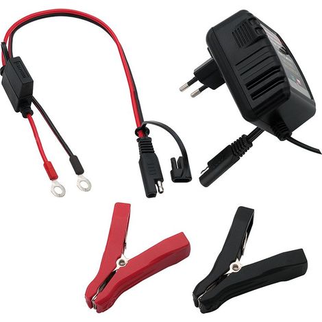 Caricabatterie per batterie al piombo per auto e moto 6V/12V 0,75A con connettori ad occhiello e pinze a coccodrillo - Victory