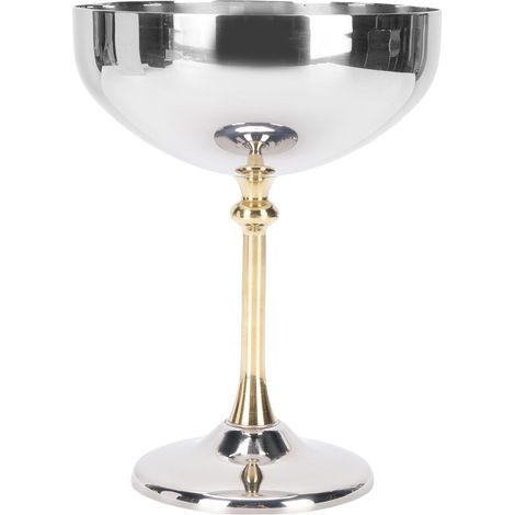 Verre à Dessert en Acier Inoxydable Pied Cuillère pour Glace, Fruits, Pudding, Yogourt (1/5)