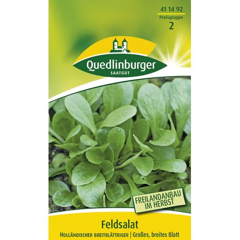 Quedlinburger Saatgut – Mâche Holländischer breitblättriger – Graines de légumes, grandes feuilles larges, 10 m linéaires (1/2)