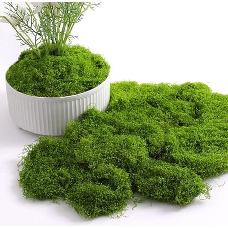 Muschio artificiale per decorazioni, muschio artificiale decorativo per progetti fai da te, allestimenti per la tavola, composizioni floreali, giardini fatati e decorazioni per matrimoni (Muschio Arti (1/4)