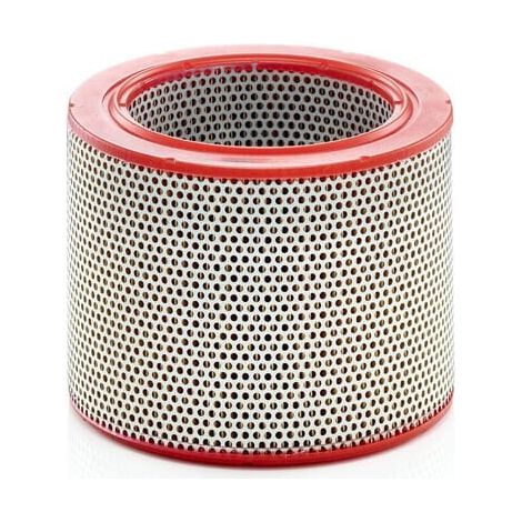 Luftfilter MANN-FILTER C211381