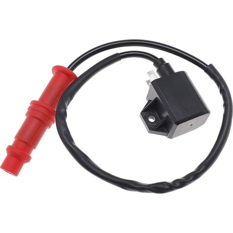 Bobine d'allumage ATV – Réf. 3089239 – Pour POLARIS SPORTSMAN 400 / 450 / 500 / 4X4 / 6X6 (1/5)