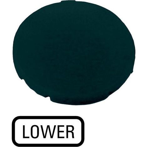 Étiquette plate noire LOWER EATON M22-XD-S-GB18