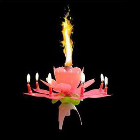 2er-Pack Musikkerzen in Lotusblumenform – Romantisches Geburtstagsgeschenk (1/3)
