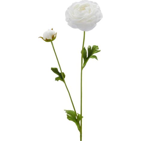 GASPER Ranunkel Reinweiß Ø 8,5 cm 63 cm - Kunstblumen (1/2)