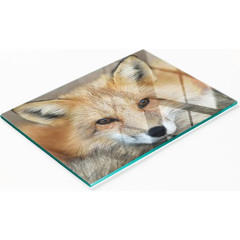 Tabla de cocina de vidrio templado duradera y elegante con estampado de zorro, 80x52 cm. (1/5)
