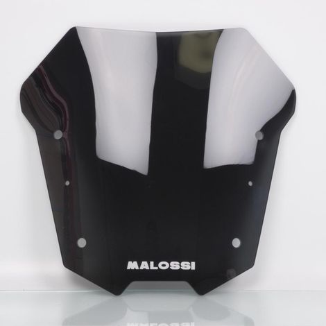 Windschild und Windabweiser Malossi für Roller BMW 600 C Sport ab (1/3)