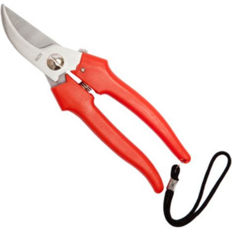 FORBICI P/UVA FALCI INOX 19 CM- FALCI- 1,0 pz