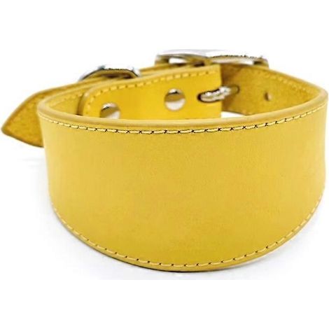 Breites Leder-Hundehalsband mit weichem Futter, verstellbar, gelb, Größe L, bequemes und robustes Halsband für Spaziergänge.