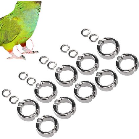 Anello per zampe di pappagallo in lega, anello per zampe di uccello, anello per zampe di uccello, uccelli da esterno per pappagalli 10°