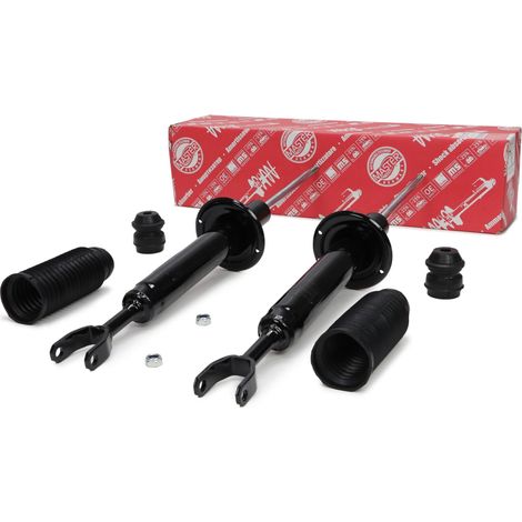 Stoßdämpfer vorne AUDI A6 C6 (4F2) / Avant (4F5) (1/5)