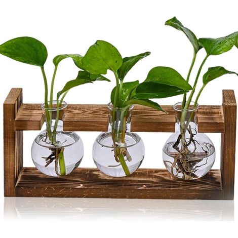 Station de multiplication des plantes, bac à plantes grimpantes avec structure en bois, vase de propagation hydroponique, cadeau de jardinage - 3 vases à bulbes