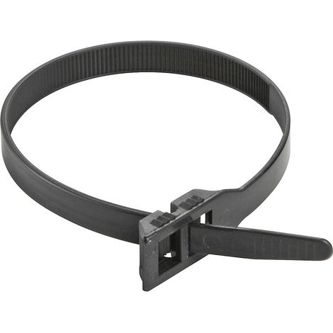 PB Fastener 6503 6503 Kabelbinder 375 mm 9 mm Schwarz 1 St. (1/2)