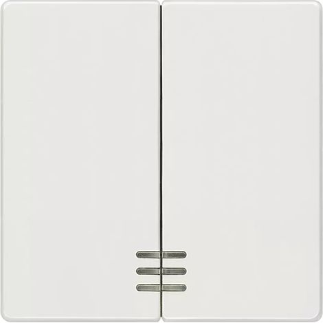 Doppelkontrollwippe Siemens 5TG6204, titanweiß (1/2)