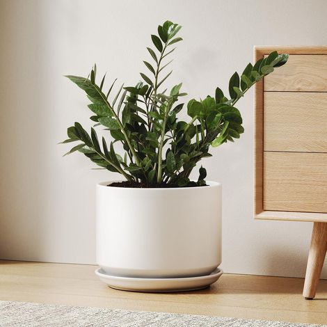 Keramik-Blumentopf 25cm mit Untersetzer, matt-weiß, minimalistisch (1/5)