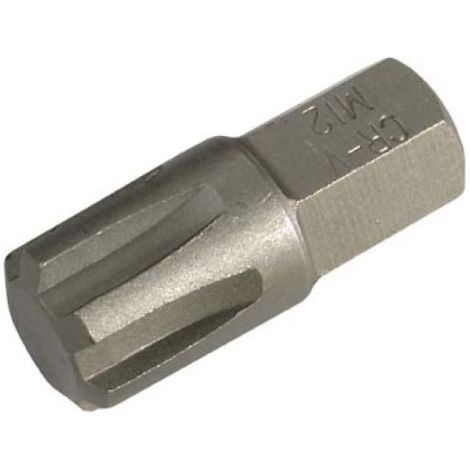 Bit Länge 30 mm Antrieb Außensechskant 10 mm (3/8") Keil-Profil (für RIBE) M12