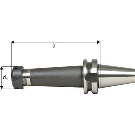 Pinza Tipo Mandrino Er Din 2080 Con Irrigazione Centrale, Capacità Di Serraggio: 1,0 Di 16,0 Millimetri, Mas-Bt 50, Er25 Pinza, Un: 100 Mm, D1: 42 Mm