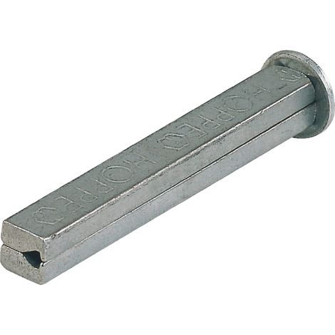 Pointe en profil I VK 4-KT.8x80mm, finition galvanisée, divisée