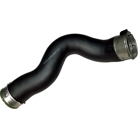 Gaine de suralimentation BUGIAD 81728 BMW 11618515639