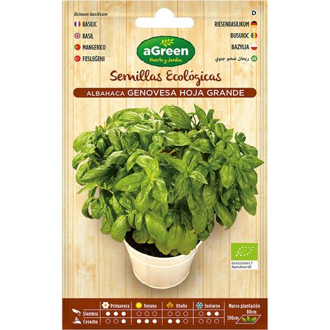 Sachet De Graines Eco Basilic Genovesa Agreen (1/3)