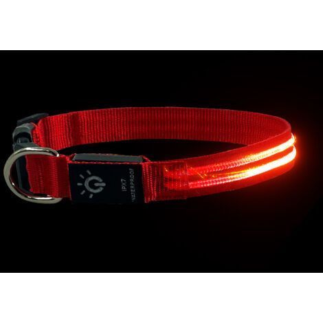 Collier de chien lumineux pour la marche nocturne, collier de chien LED étanche rechargeable, colliers de chien qui brillent dans le noir éclairé par LED (1/5)